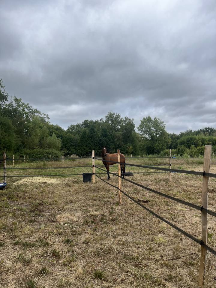 Pension pr&eacute; avec abris - 33290 Blanquefort