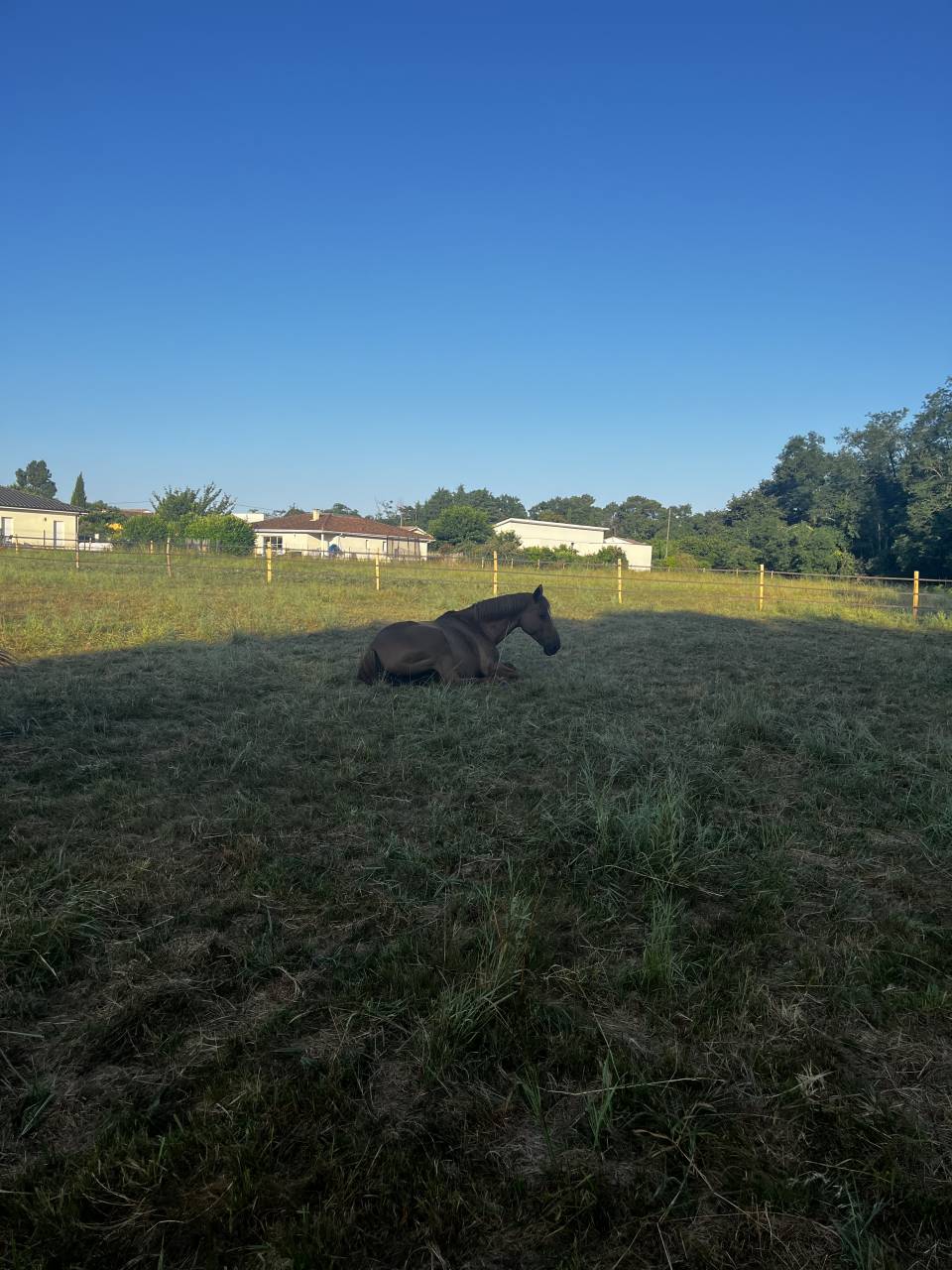 Pension pr&eacute; avec abris - 33290 Blanquefort