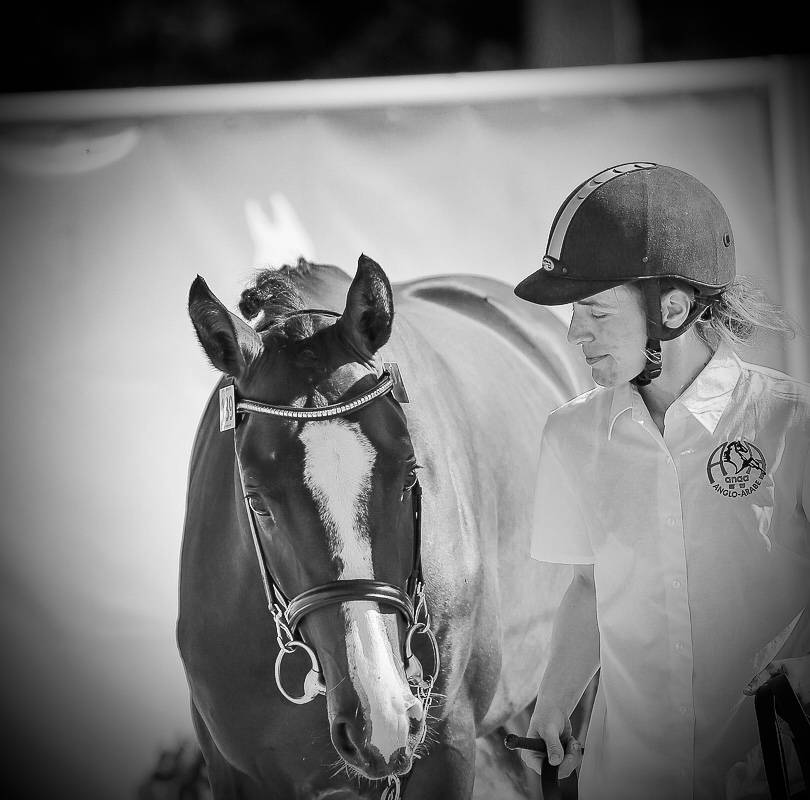 Étalon labellisé champion de France 2025