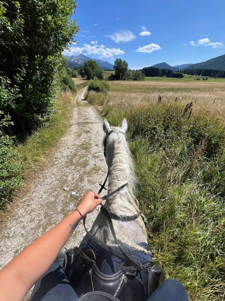 Joya jument de loisirs 