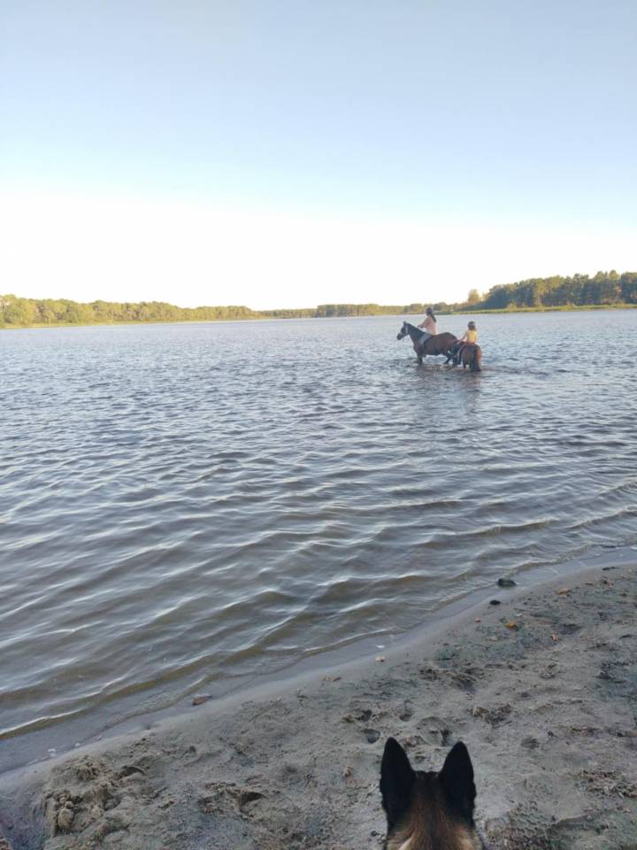 Pension pre avec abris