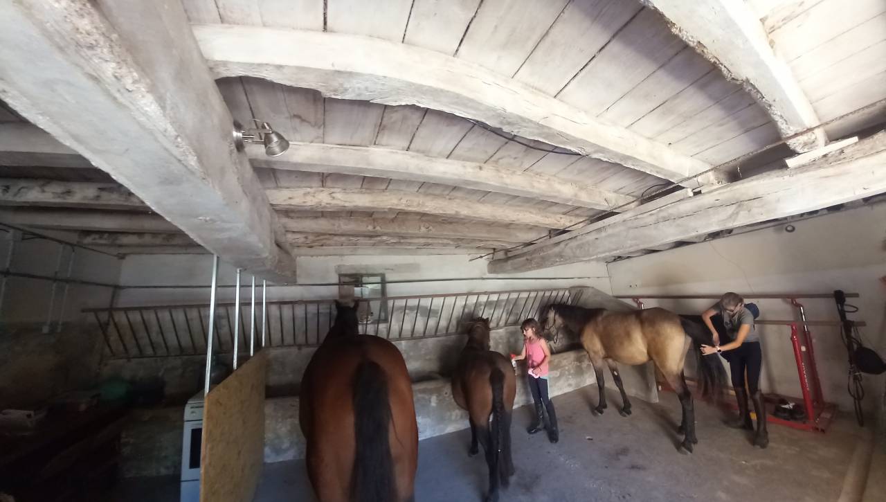 Pension pre avec abris