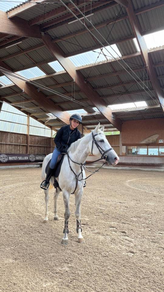 Chouette jument Z!