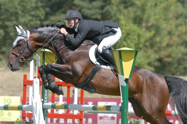 Saillie CAP DE B'NEVILLE étalon SF originel