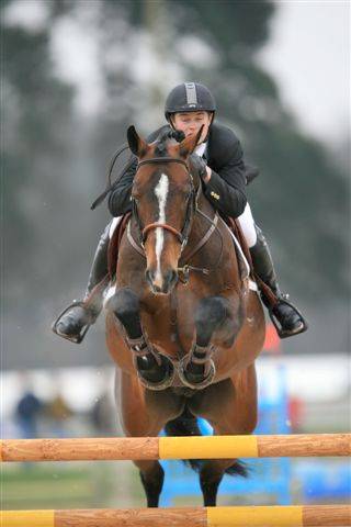 Saillie CAP DE B'NEVILLE étalon SF originel