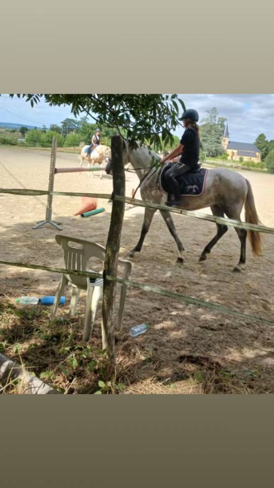 Super Jument jeune 