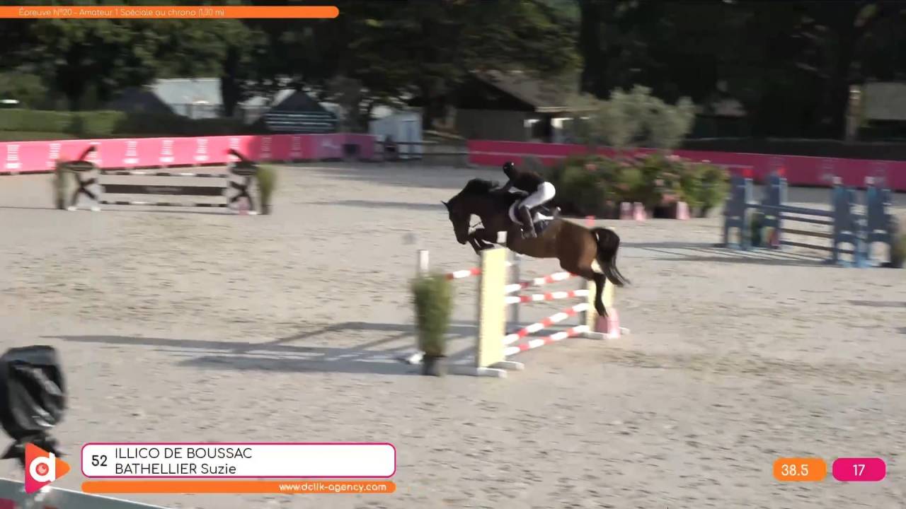 hongre sf pp( bon temperament, force,sang)