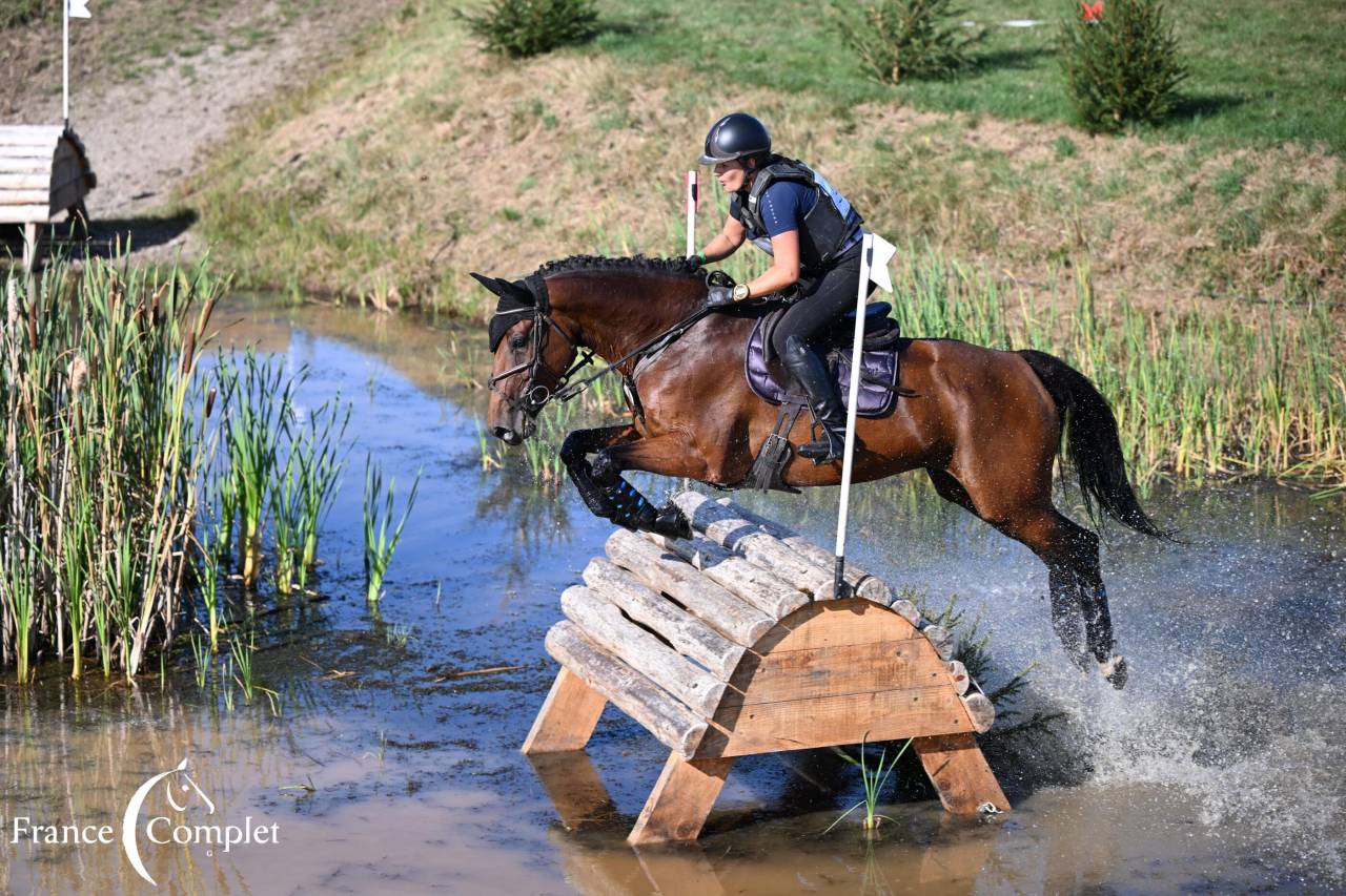 Jument top origines CCI3* et CSO 1.25 minimum