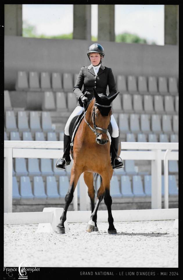 Jument top origines CCI3* et CSO 1.25 minimum