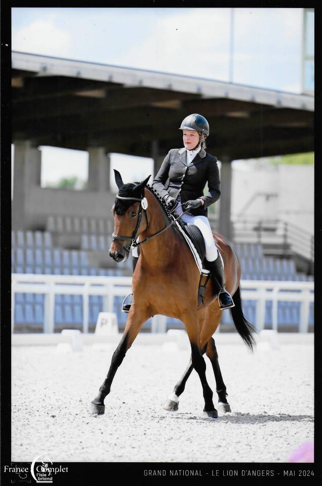 Jument top origines CCI3* et CSO 1.25 minimum