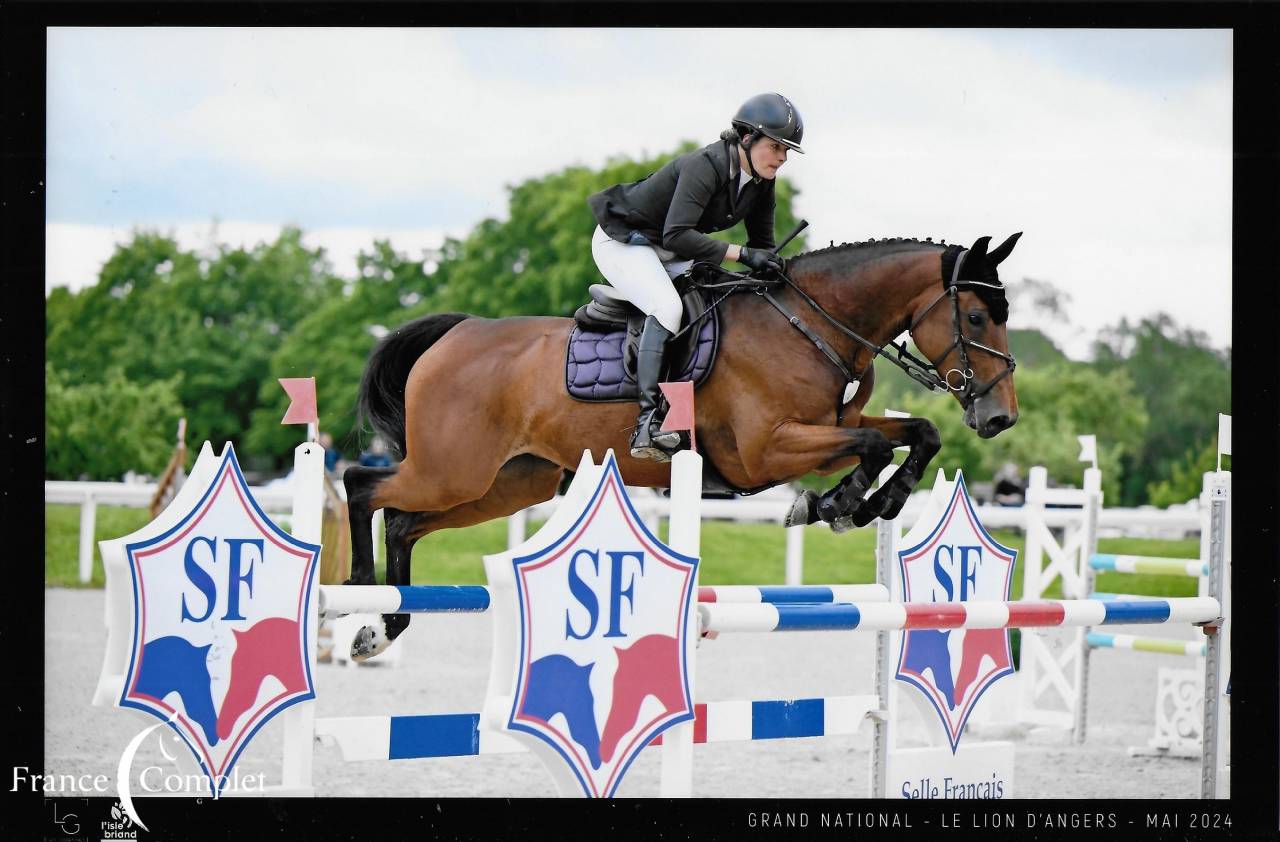 Jument top origines CCI3* et CSO 1.25 minimum