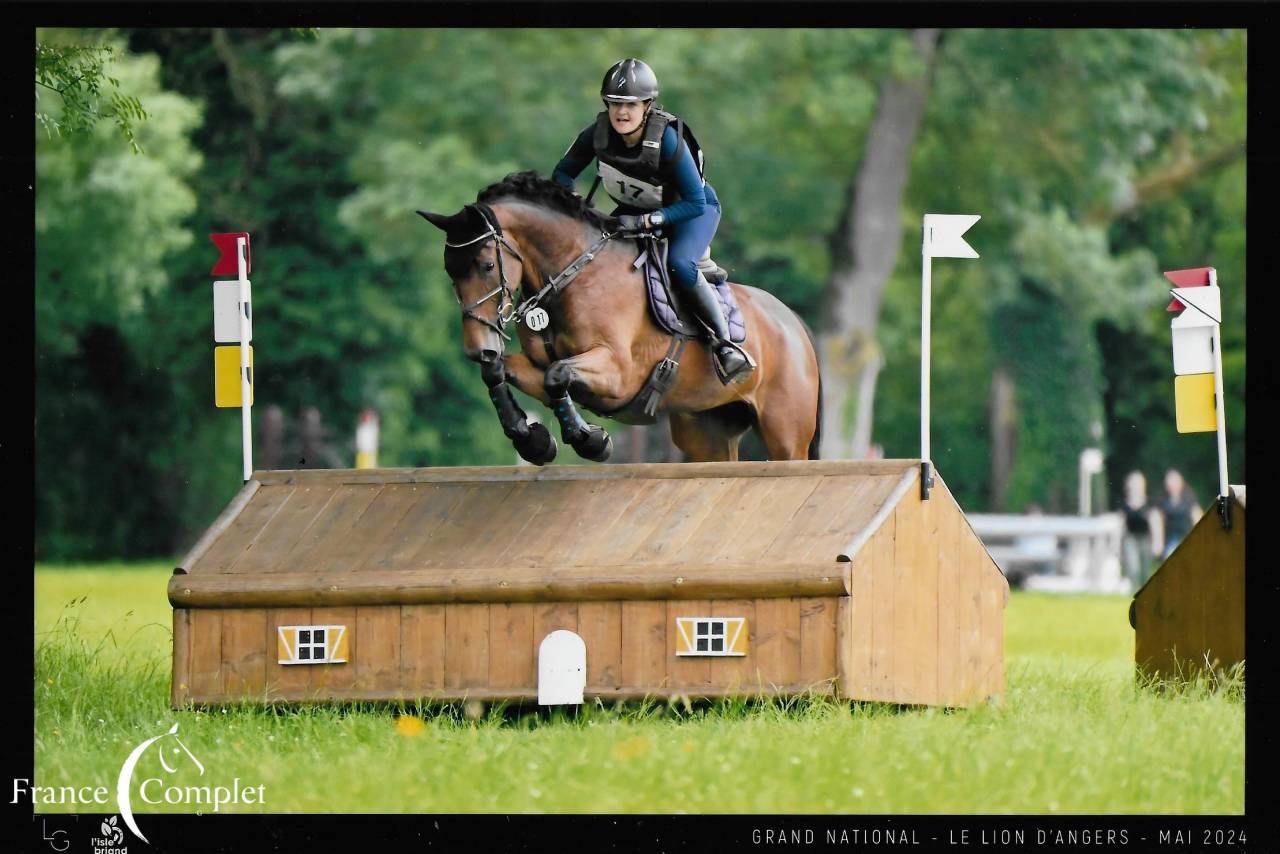 Jument top origines CCI3* et CSO 1.25 minimum