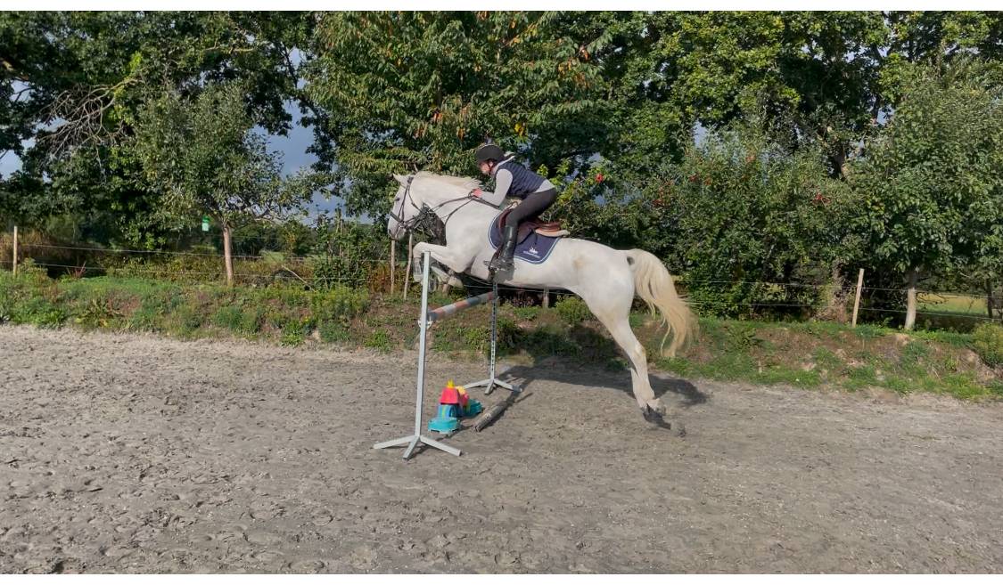 magnifique cheval
