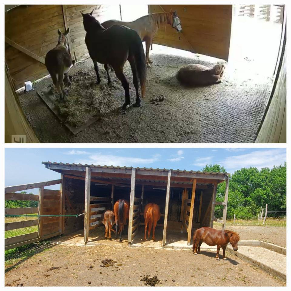 pension pr&eacute; coop&eacute;rative