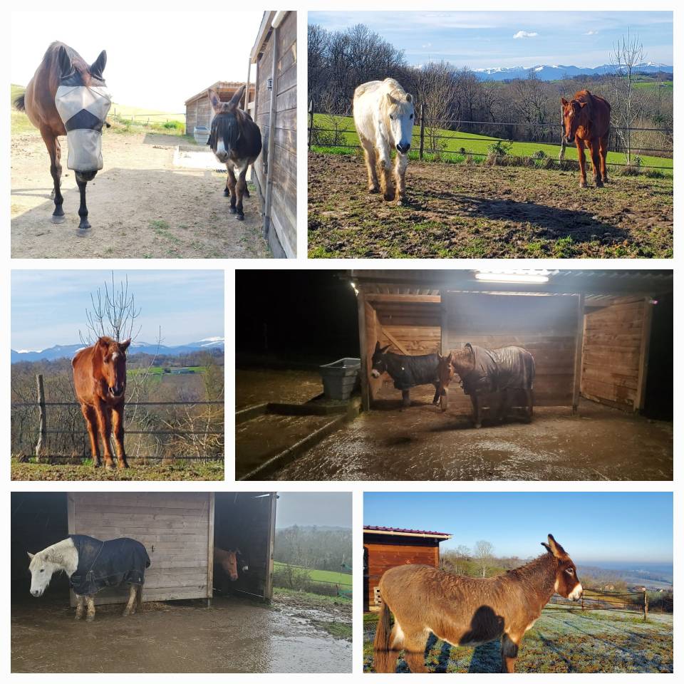 pension pr&eacute; coop&eacute;rative