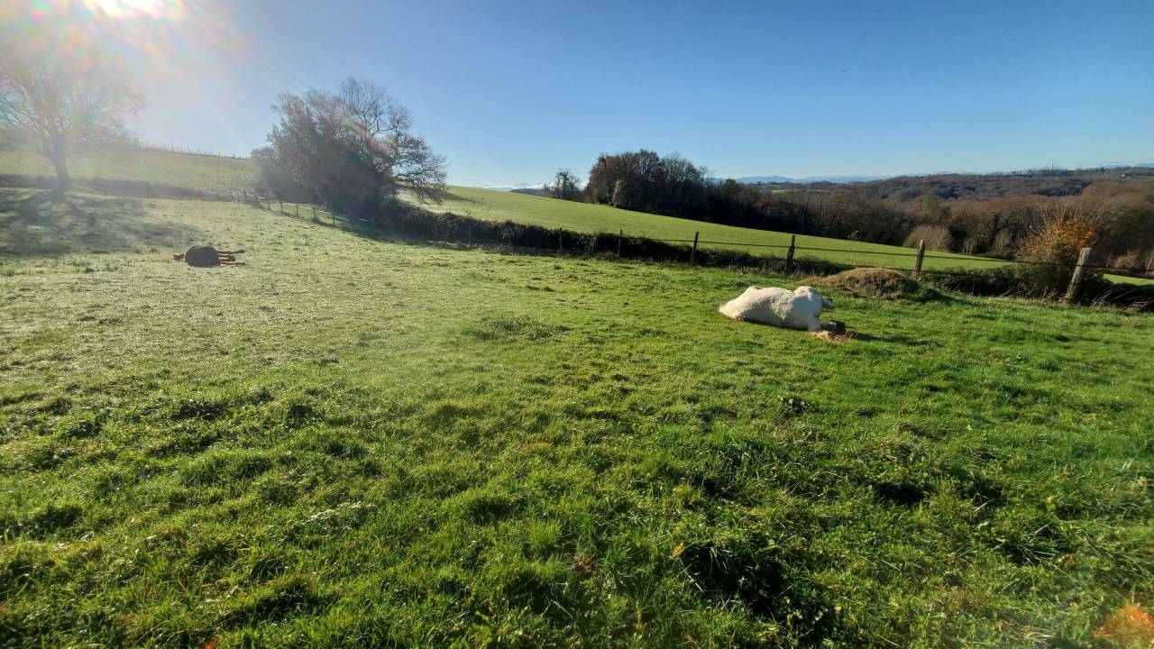 pension pr&eacute; coop&eacute;rative