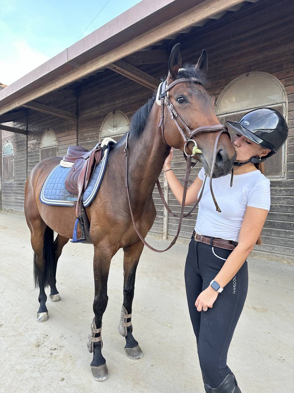 Recherche DP High Five