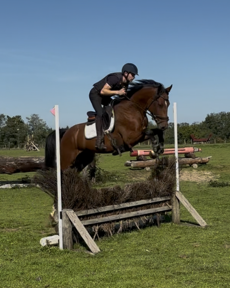 3 ans hongre holsteiner