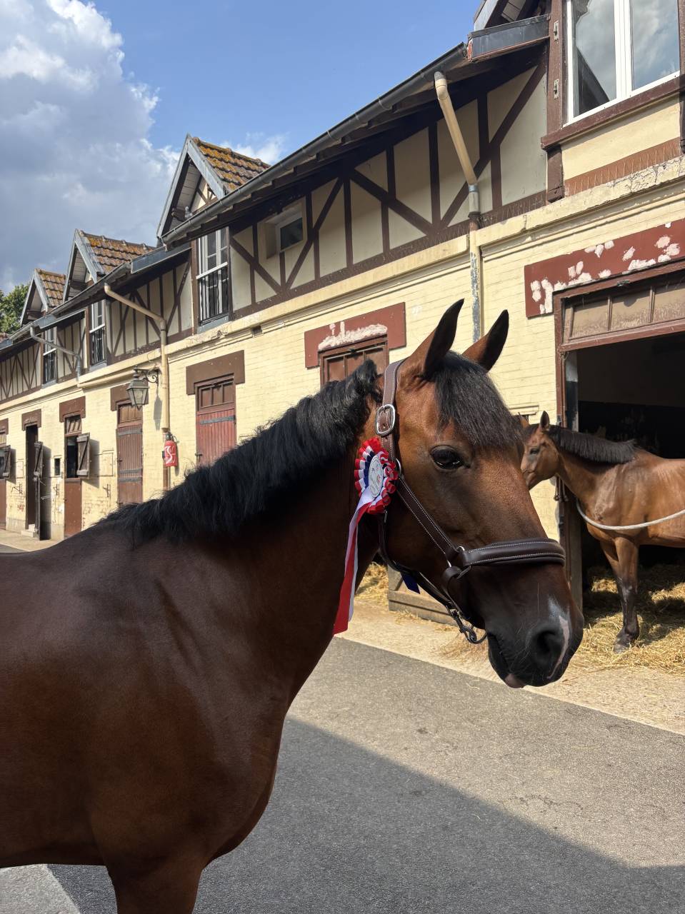 super ponette DP Maisons-Lafitte 