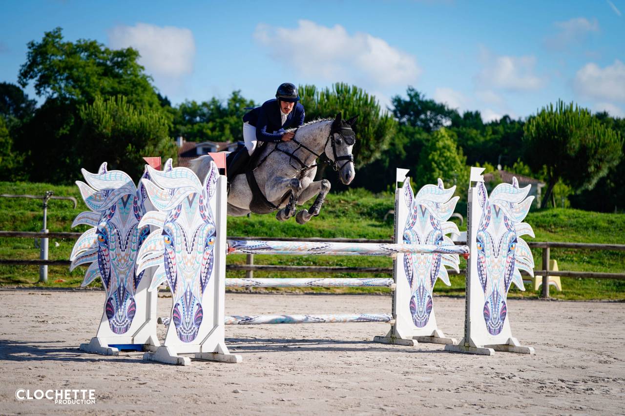 Jument AA 9 ans - CCE 2/3* - CSO 120/125