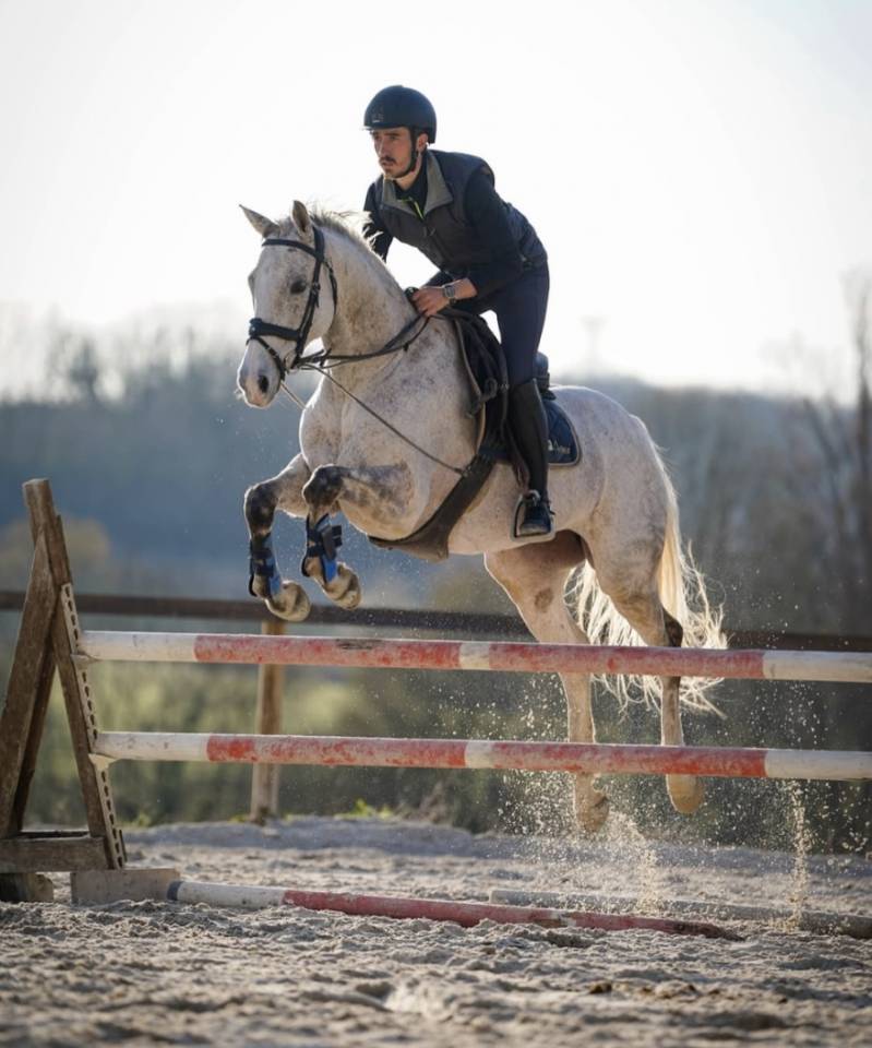 Jument AA 9 ans - CCE 2/3* - CSO 120/125