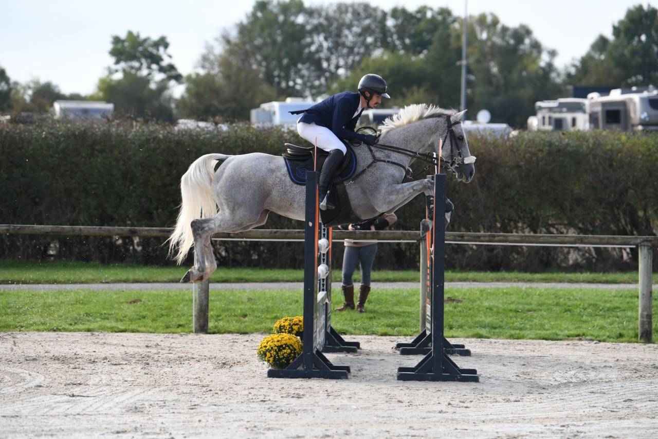 Jument AA 9 ans - CCE 2/3* - CSO 120/125