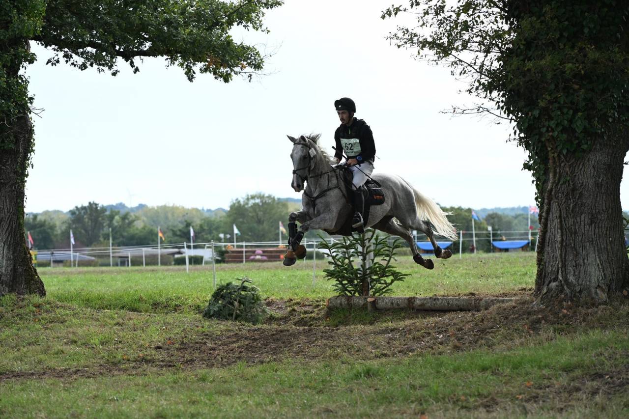 Jument AA 9 ans - CCE 2/3* - CSO 120/125