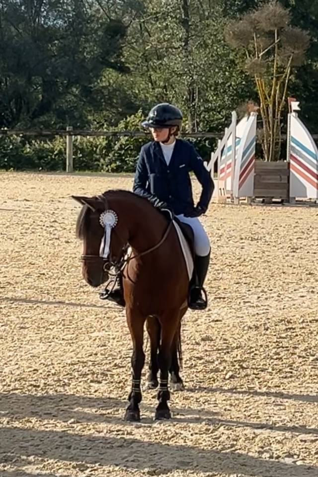 Poney de sport 