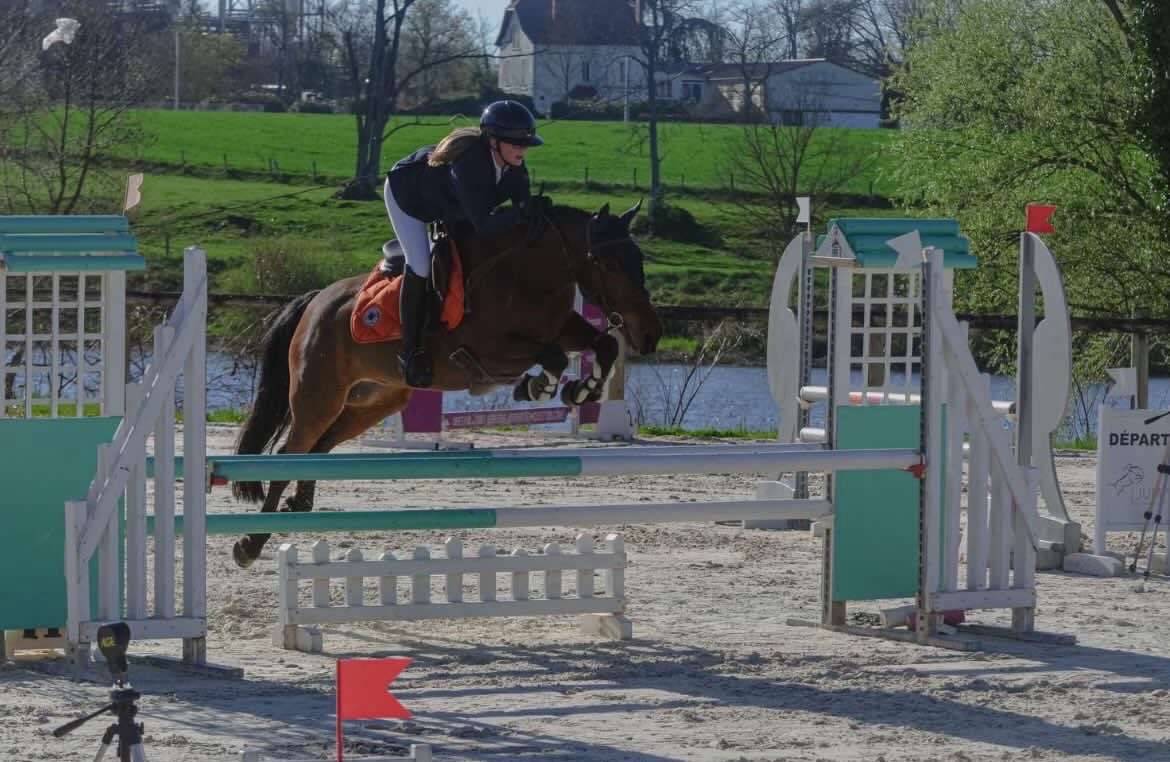Poney de sport 