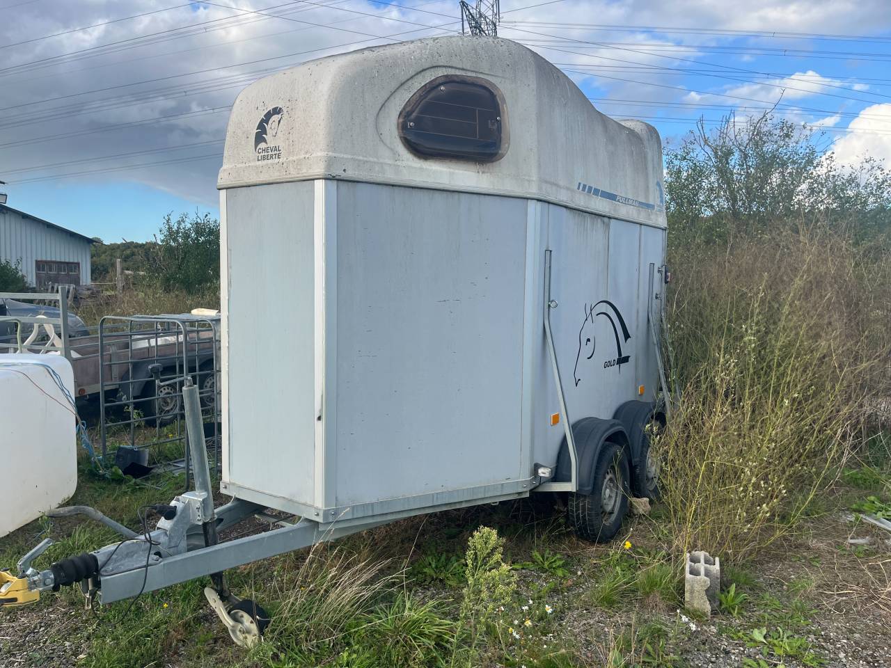 Van 2 places cheval liberté 