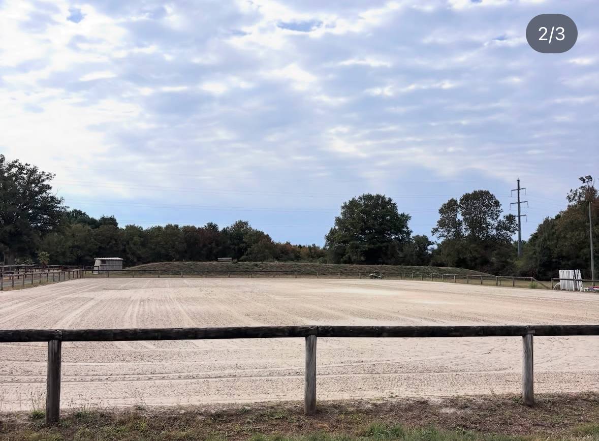 Recherche apprenti CS Groom/CS jeune chevaux