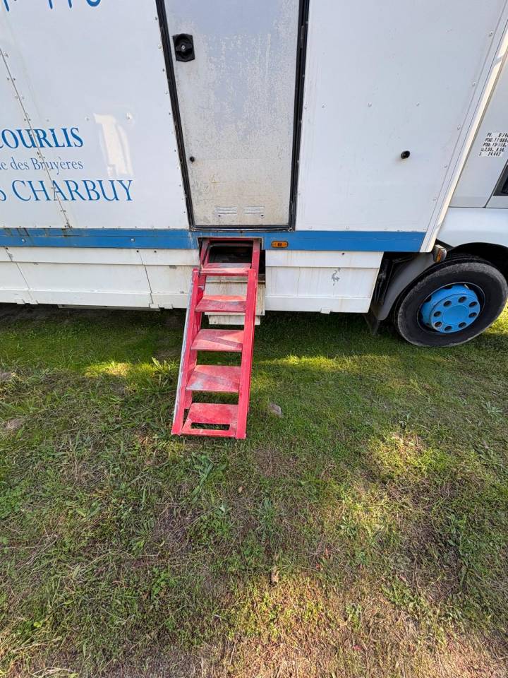 Camion PL chevaux 8 places Renault 