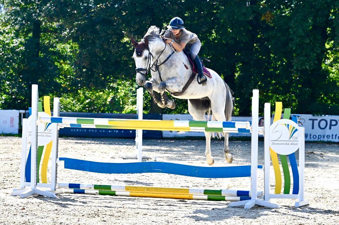SUPER JUMPER FOR JUNIOR RIDERS WITH AMBITIOUS