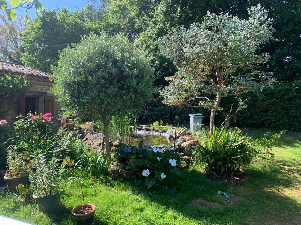 Les deux &eacute;toiles filantes