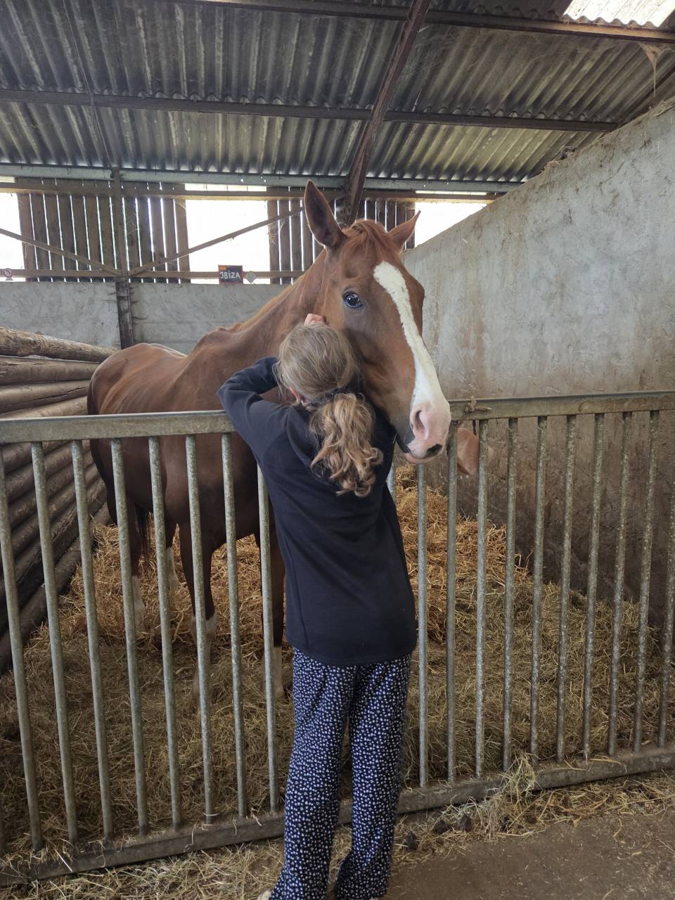 Magnifique jument PP PS 10 ans