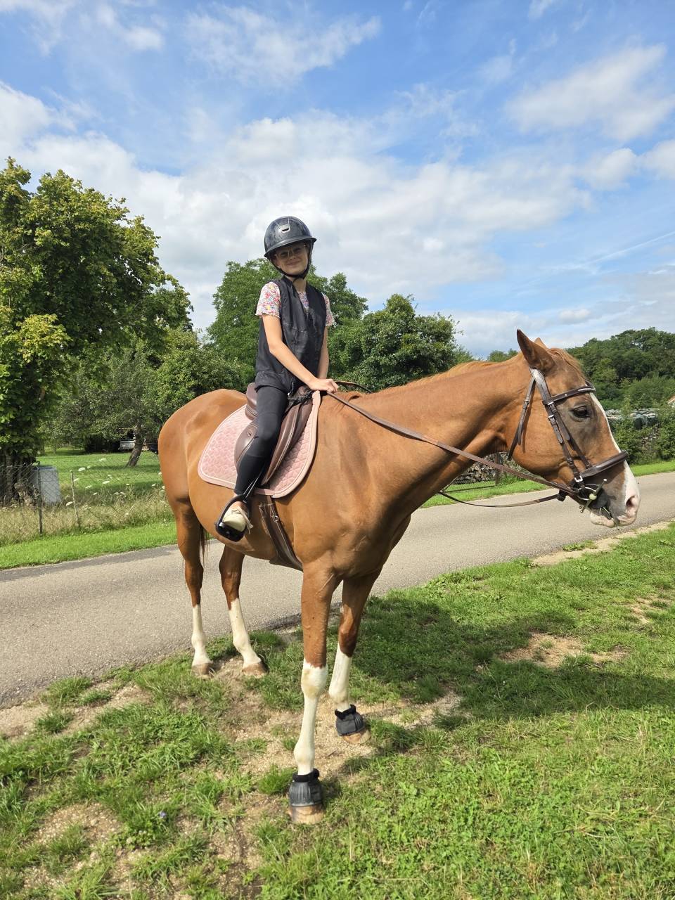 Magnifique jument PP PS 10 ans