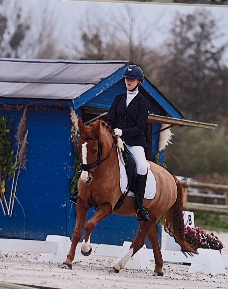 PONEY DE DRESSAGE NIVEAU AS ELITE