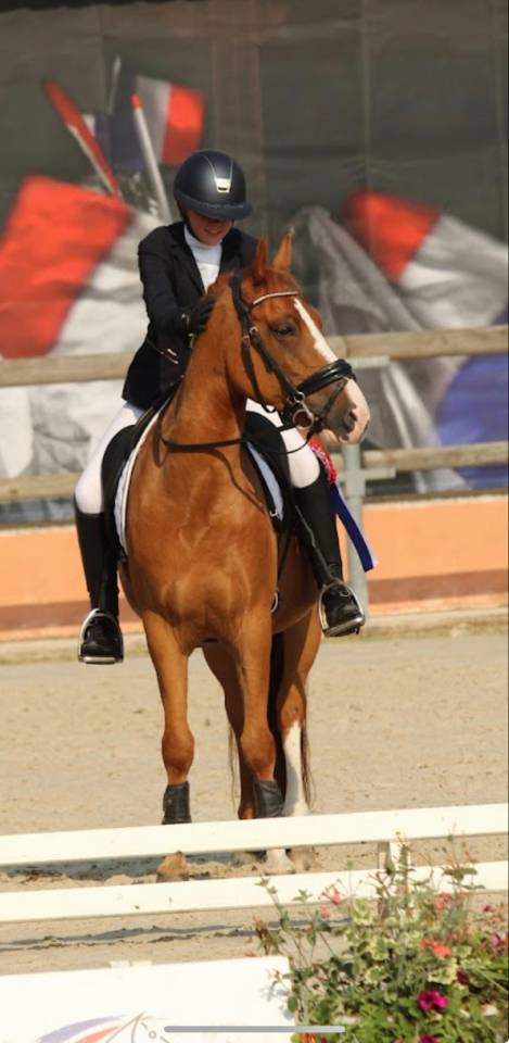 PONEY DE DRESSAGE NIVEAU AS ELITE