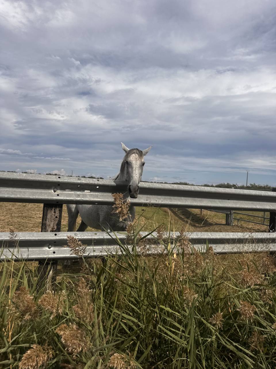 Demi-pension pour pour Niroa - 30 Gard