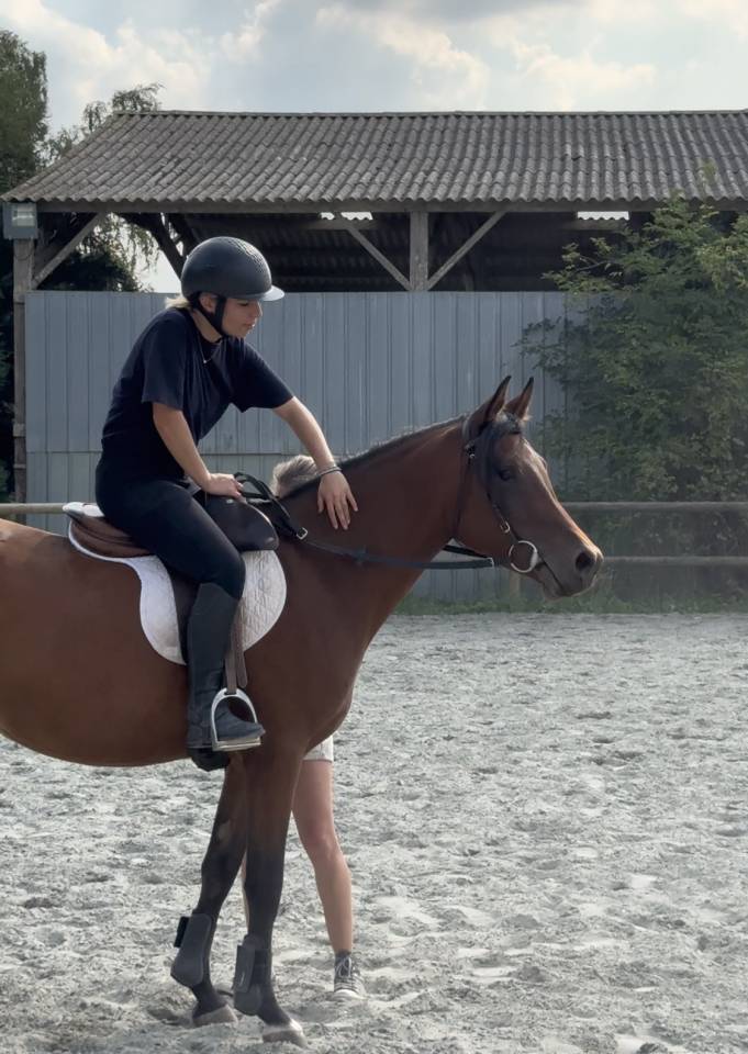 Jument Pur Sang Arabe - 6 ans 