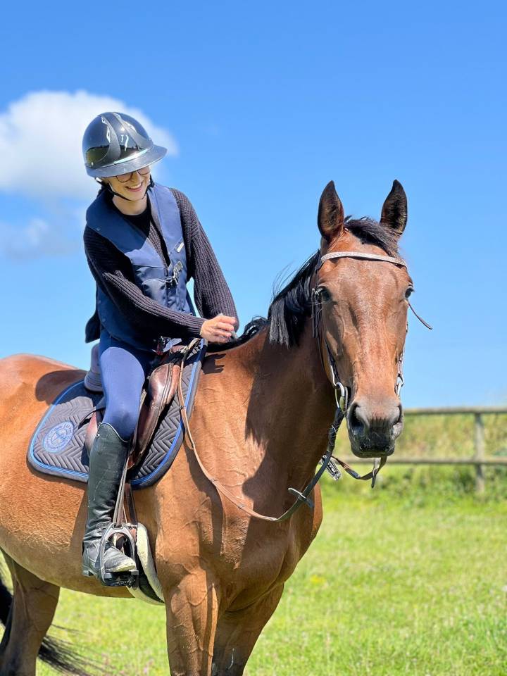 Jument - Lady Venesi - 4 ans - Trotteur Francais 