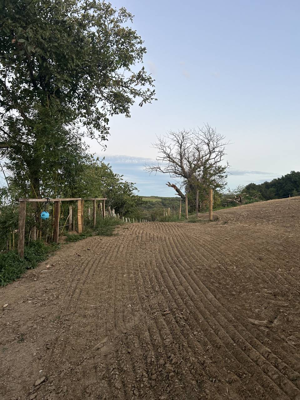 Pension pr&eacute; petit prix 20mn de lyon 