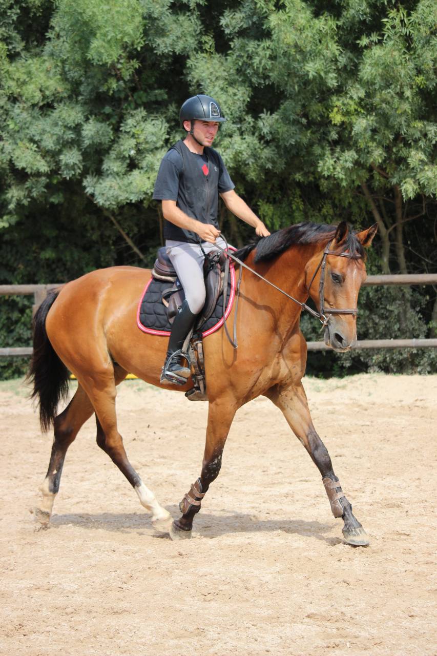 Jument 4 ans a vendre paca