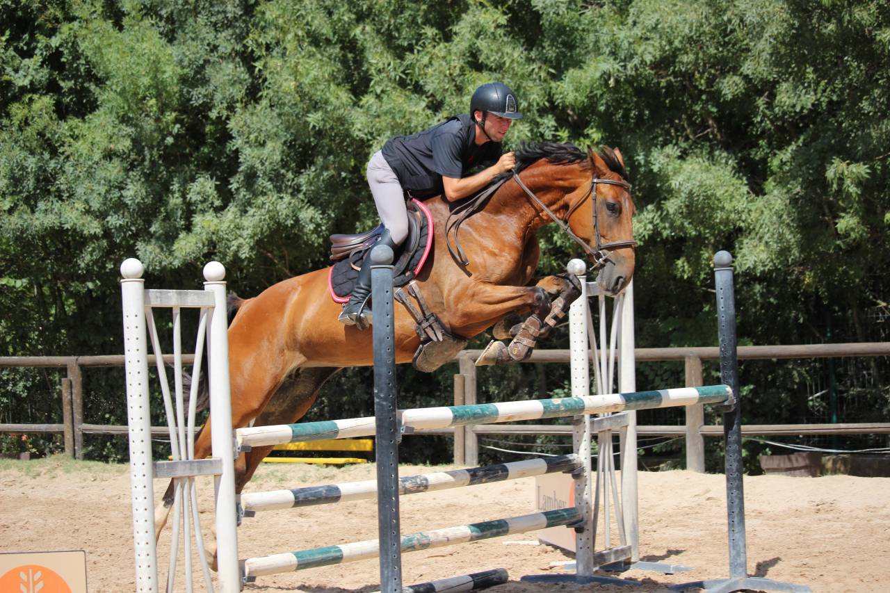 Jument 4 ans a vendre paca