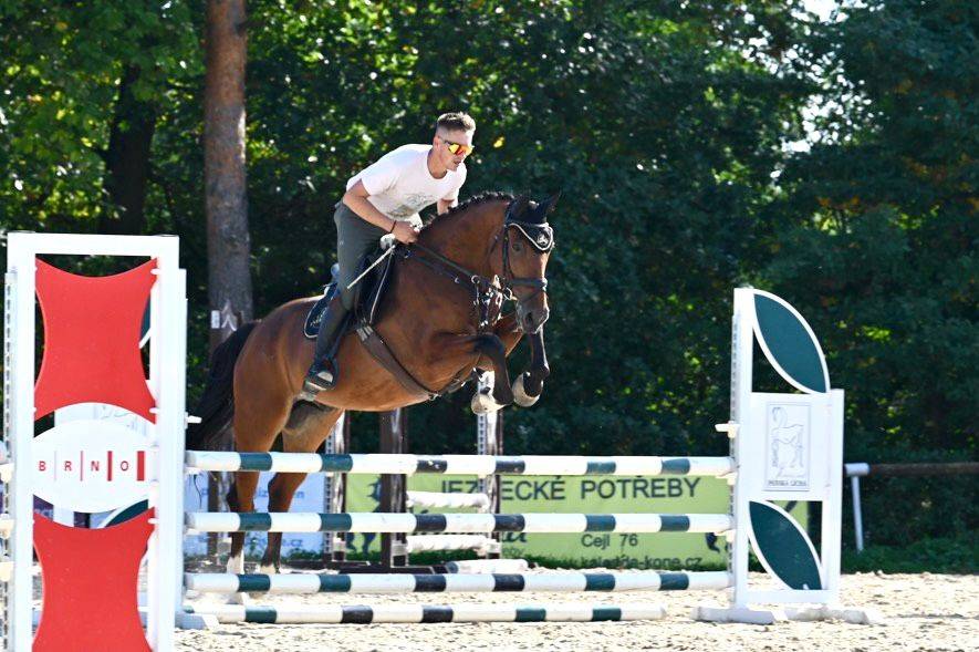 HONEST & QUIET HORSE?