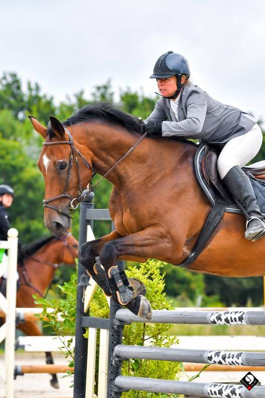 Cheval selle francise
