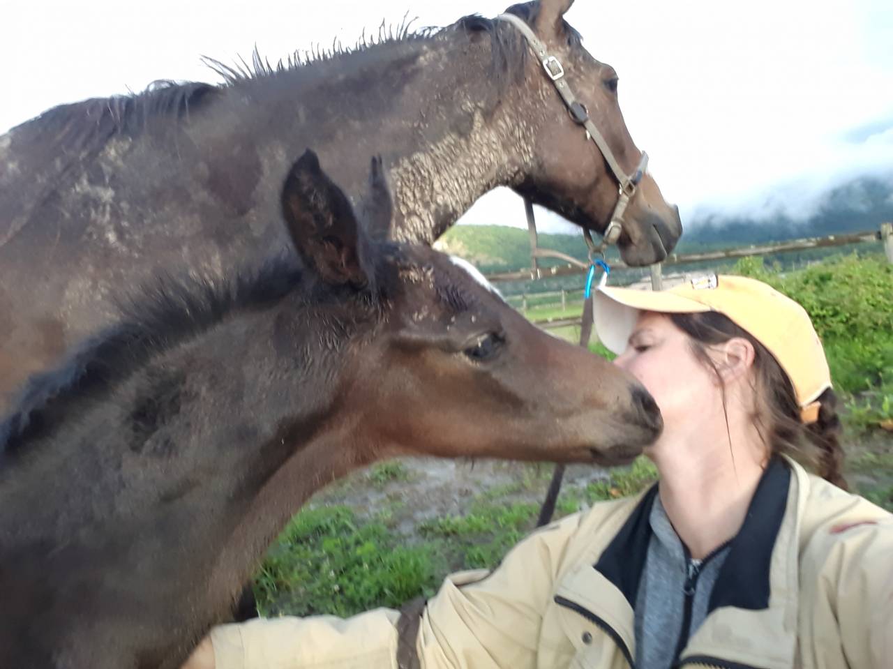 2,5 ans, petit fils de diarado, petit fils de plot blue