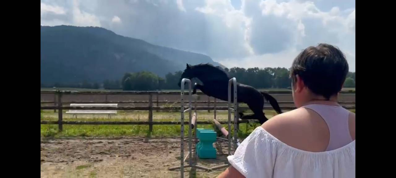 2,5 ans, petit fils de diarado, petit fils de plot blue