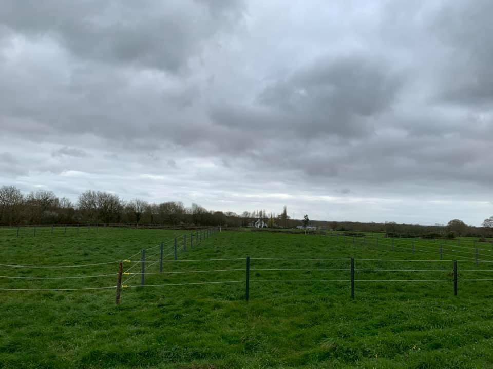 970306_1759778847_7832.jpg