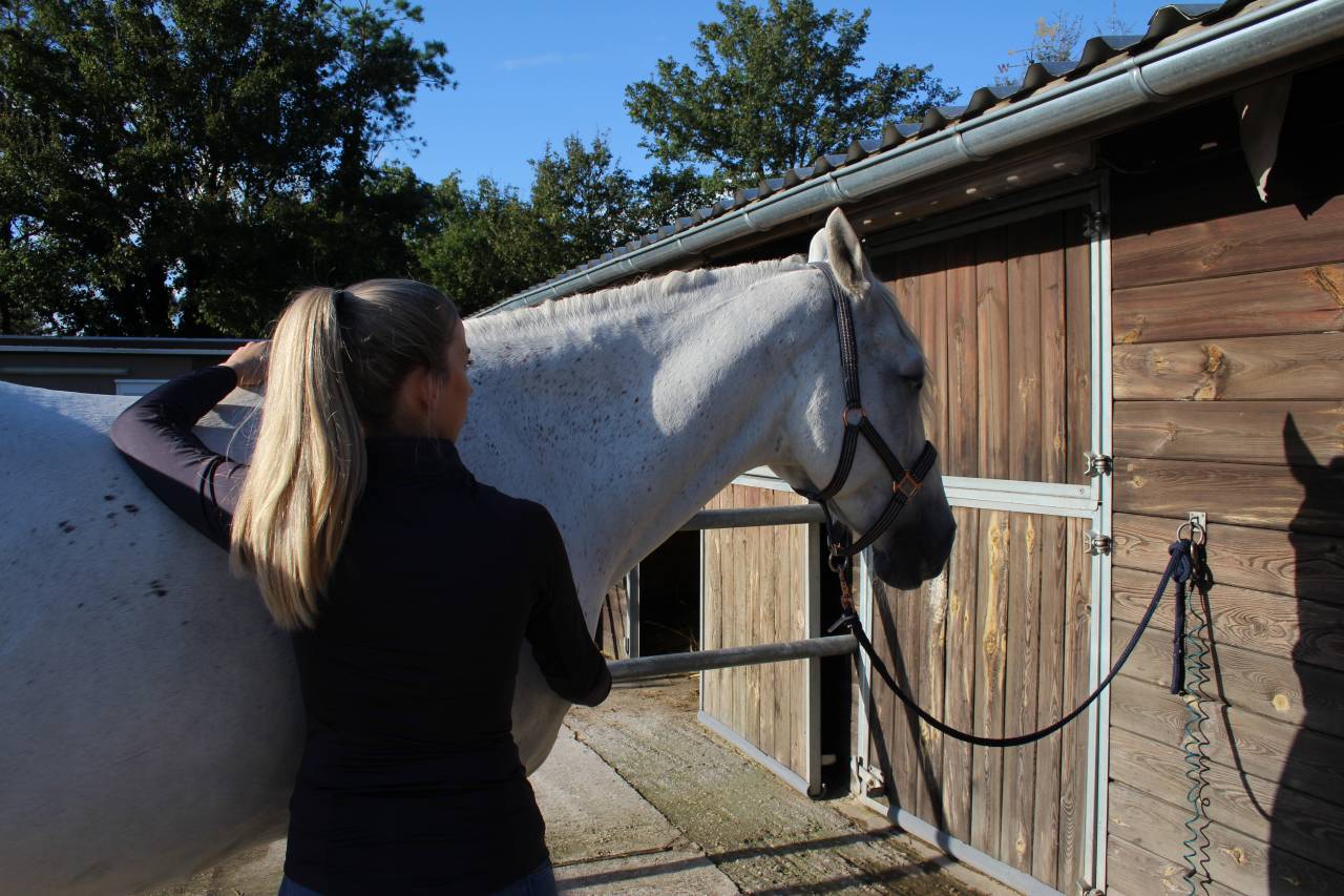 Massage équin et bien-être Lorraine et alentours